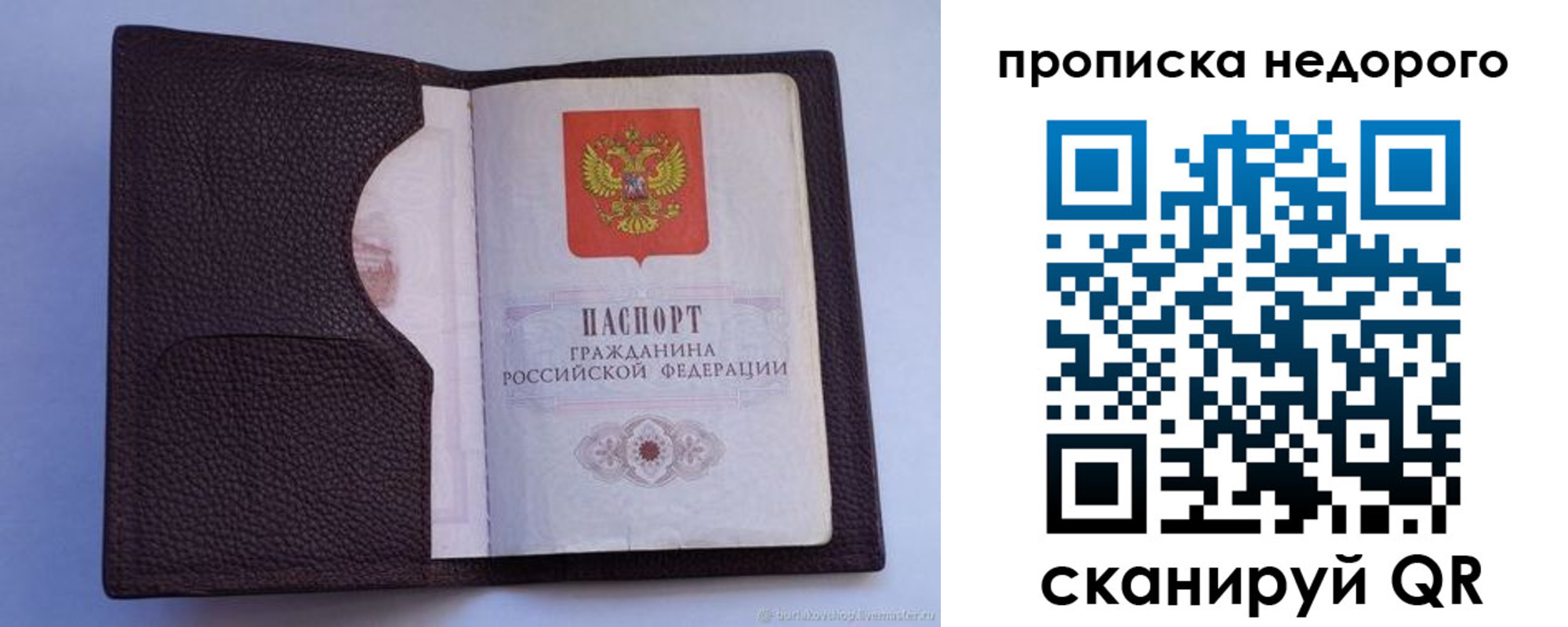 прописка законно в Струнино